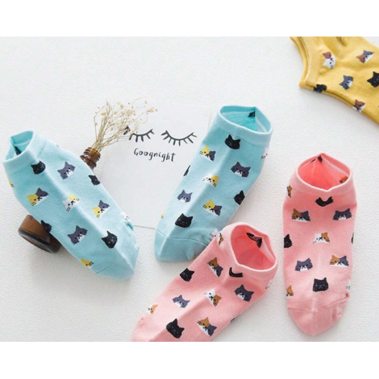 Cute Ladies Cat Socks in a Gift Box