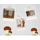 Ladies Socks with fun mushroom design in a gift box