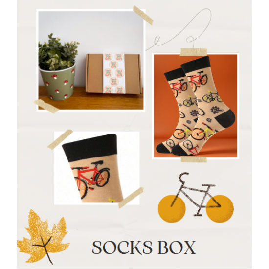 Mens fun Bike pattern socks in a gift box