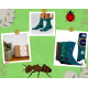 Mens RHS Gentle Grip Socks Jacquard Insects